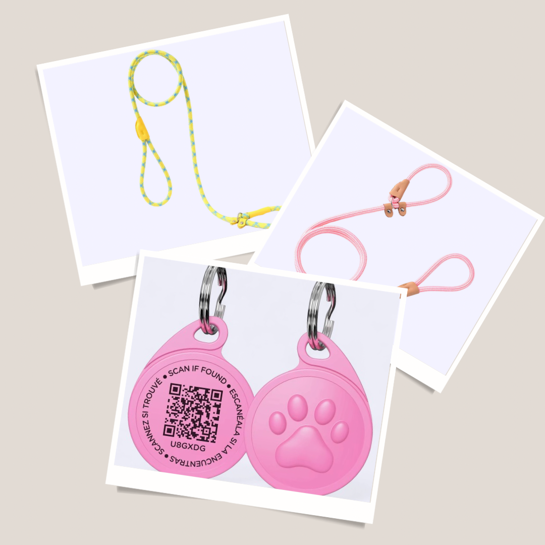 Correas y accesorios